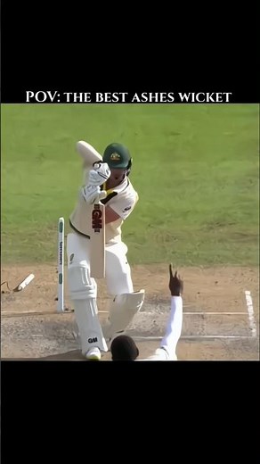 The Most Insane Ashes Wicket Ever | part 2 | 😱🏏
