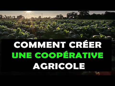 COMMENT CRÉER UNE COOPÉRATIVE AGRICOLE