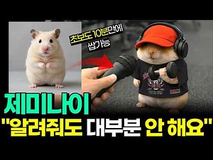 An amazing way to create free, trending "animal interview" videos using Google AI Gemini! (Hamjji...