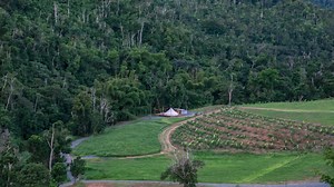 133K views · 1.5K reactions | ¿Estás ready para vivir esta experiencia? ️ Para reservaciones llamar al 787-404-0020 | https://bit.ly/HaciendaCascada ⏰☎️: Lunes-Viernes de 9:00am a 5:00pm | Hacienda Cascada | Facebook