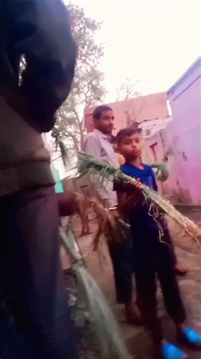 Holika Dahan #viral #song #shortvideo #music #love #nayenawelidulhanparpehledin