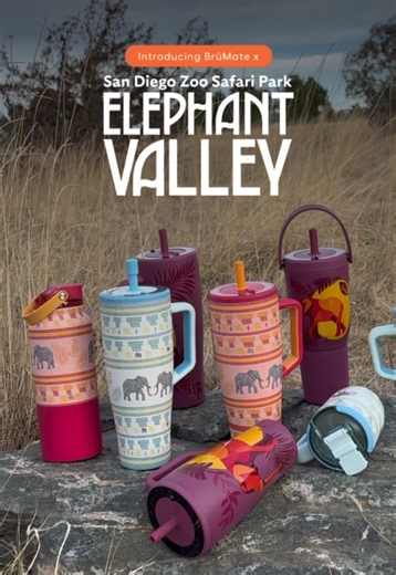 Introducing the BrüMate x San Diego Zoo Safari Park Collection 🐘 Created in collaboration with @San Diego Zoo Safari Park to celebrate the opening of Elephant Valley on March 5th! This all-new experience at the San Diego Zoo Safari Park is more than a one-of-a-kind experience for guests and elephants alike. It bridges the vital work happening in San Diego with collaborative, community-led conservation initiatives through their Savanna Conservation Hub! 🧡 #elephant #elephantlover #sandiegozoo #