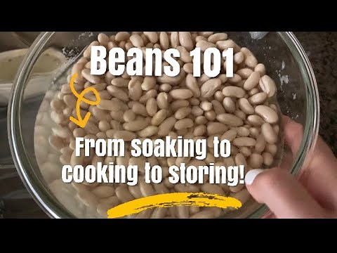 Beans 101 From Soaking to Cooking to storing How To