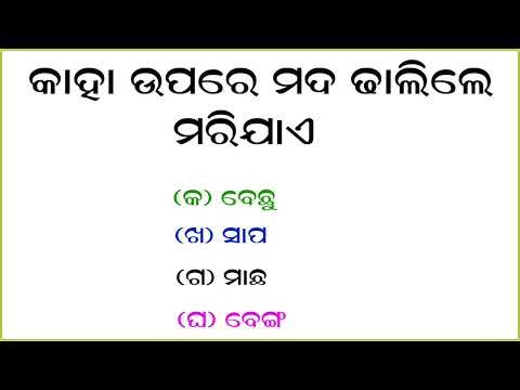 Odia General Knowledge Question And Answer 