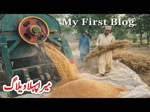 My First Vlog | Wheat Threshing Machine Work in Village | Ansar Studio Chiniot
