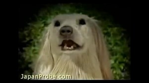 panchi the terror dog, absolute menace #panchi #panchitheterrordog #edit #animeedit #horror #horroredit