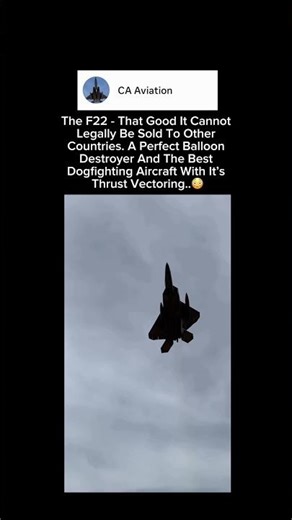The F22 Raptor and It’s Thrust Vectoring Is Crazy 😮