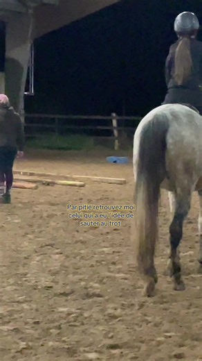 Les défis de l'équitation au trot