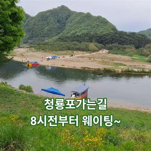 단종 유배지 청령포 8시부터 입장