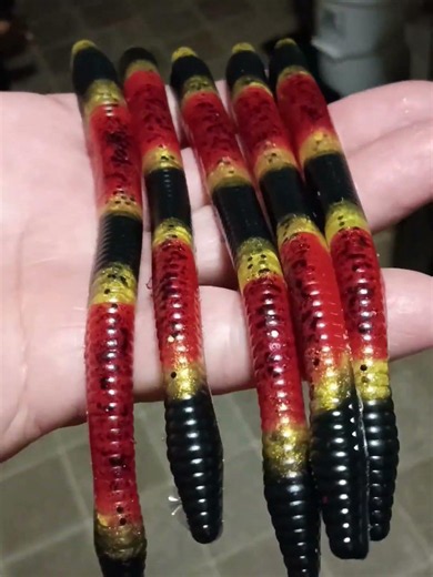 coral snake pattern in the hand poured mojo worms #baitmaking #softplasticbaits