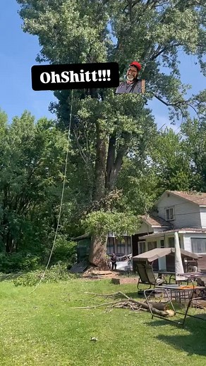 67 reactions · 21 shares | Tree falls on house…. #reels #fyp #trees #treefails #viral | Joe Korn | Facebook