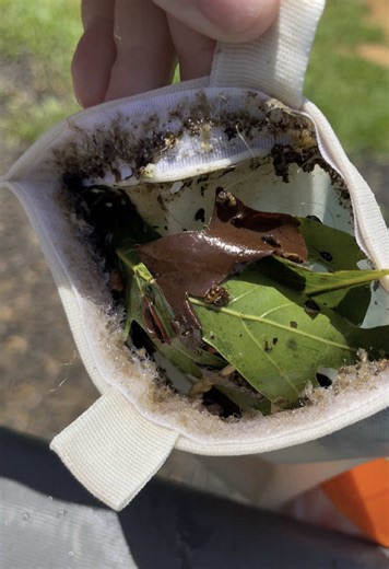 Expert Tips for Effective Pool Cleaning Techniques