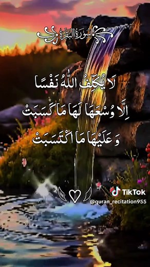 Surah Al-Baqarah full recitation with hashtags