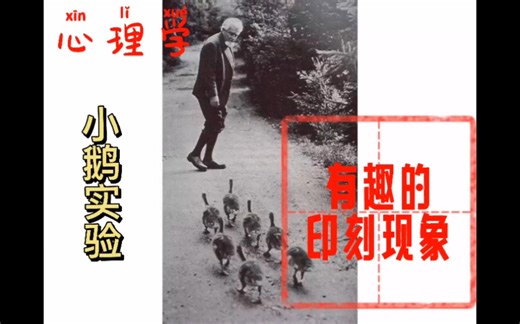 有趣的心理学小实验——印刻现象及相应启示