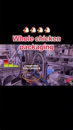WECANPAK BL-3000 Full Automatic Whole Chicken Packaging Machine, the ultimate game-changer