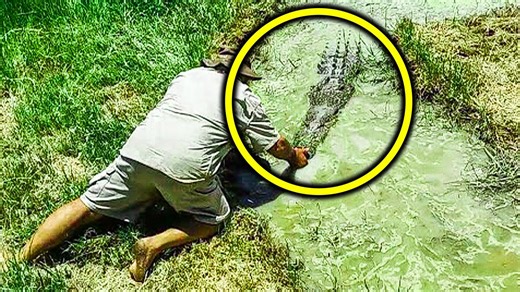 This Man Started Splashing In The Water, But Then An Enormous Predator Leapt Out At Him