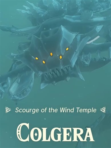 Zelda: Tears of the Kingdom Memes