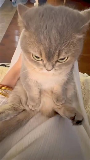 When you're cute but your attitude is premium 😂😽😻 | Everything Sina Now