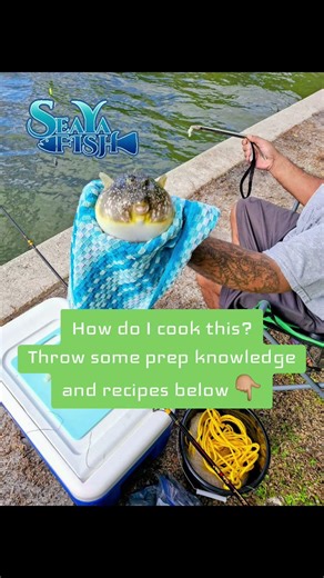 How do I clean and cook a puffer? #fishinglife #fishing #saltwaterfishing #puertorico #cook #seafood