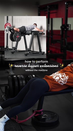 Reverse Hyperextension Glutes Without Machine | Gym Hack