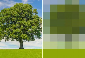 The Limits of Computer Vision, and of Our Own