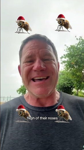 Day 7: Reindeer Bot Fly (Rudolph’s Red Nose)🪰