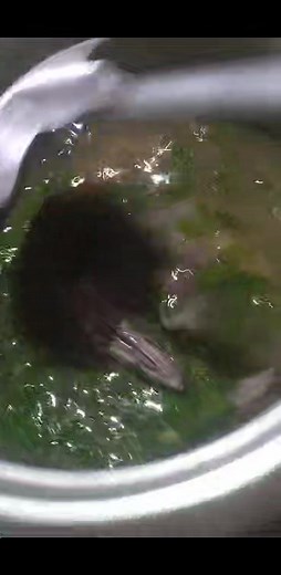 kain Tayo guys | Angeline Bioco Garcia