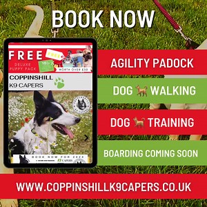 We’re live! www.coppinshillk9capers.co.uk 🐕 Dog Walking 🐕 Dog Training 🐕 Agility 🐕 Paddock 🐕 Boarding Coppinshill K9 Capers | Advertology