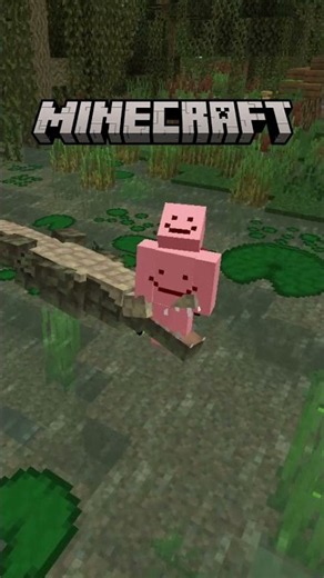 What if Minecraft UPDATED the Swamp biome? 🌿🐊