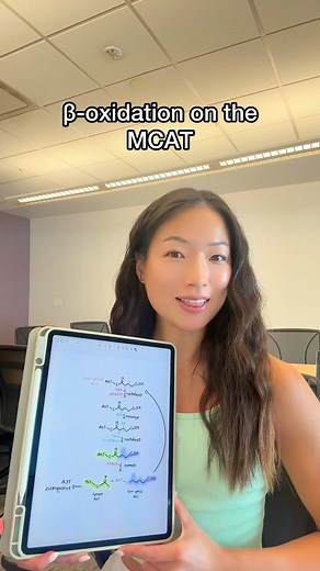 Yvonne Jiang on Instagram: "Beta is the BEST 🫶🏼 #biochemistry #studytips #premed #mcat #metabolism"