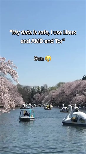 just give up 😢 #fyp #techtok #amd #linux #opsec | opsec