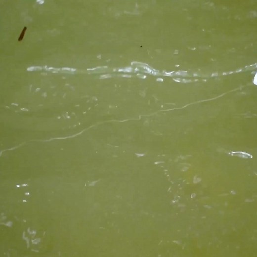 The dwarf family's fish trap making skills - Trap giant fish to sell at the market Part 2 | Bushcraft Camping