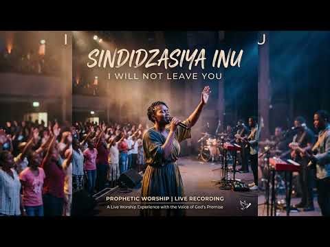 Sindidzasiya Inu