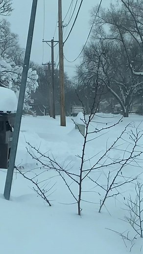 Starting the cleanup process after receiving 24 inches of snow. Then having to fix a snowblower that broke. #HansonMoreHandy #Handyman #HomeMaintenance #SnowRemoval | Anthony Reimnitz