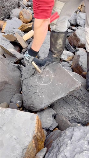 We searched a remote beach for fossils and crystal and found a Jurassic Age ball of rock