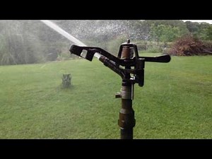 Rain Bird 65D impact sprinkler