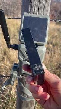 SPYPOINT FLEX-S Solar Outdoor Cellular Trail Camera-Great trail cam with reliable photo transmission