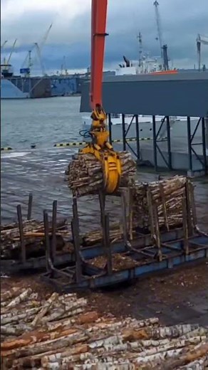 Loading Wood Pulp on Ship Deck Using High Speed Excavator #woodpulp