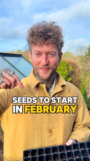 Jamie Walton | Nettles & Petals on Instagram: "Seeds to Sow in February 😊🌱🫘 After a long winter, It’s finally time to get back out into the green house and start sowing seeds again 😊🙌 some for early crops and some longer season varieties that need plenty of time to produce fruit! So, here are the varieties I sow in February and how I sow them… First it’s the heat loving plants, Chilli’s and Aubergine’s 🌶🍆 Here in the UK and similar climates they both take a long time to produce fruit, so