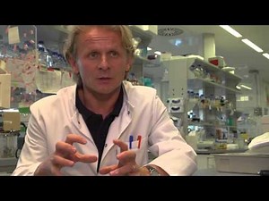 Interview mit Prof. Ivan Dikic, Biochemiker