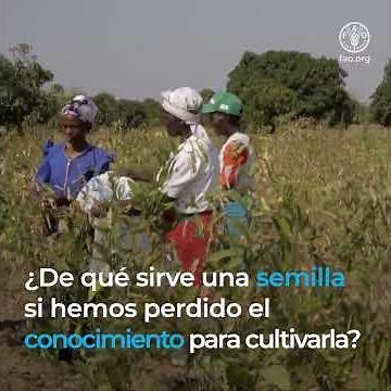 Salvaguardar la memoria de la diversidad de cultivos