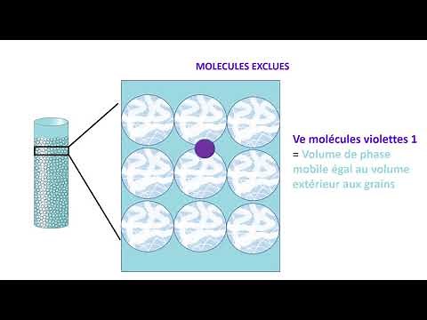 Gel filtration chromatography