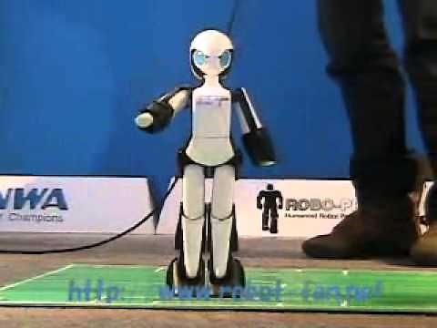 世界一美しい女性型ロボット ＦＴ