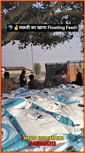 ✨✨🐬 मछली पालन की सबसे अहम खाना Flowting Feed ।। MAHTO FISH FARMING ।। #fishing #aquaculture #fish