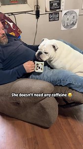 Coffee time. Oh Augie & Gigi… | Augie Doggy’s Place