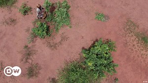 The impact of giving women land rights in Burkina Faso