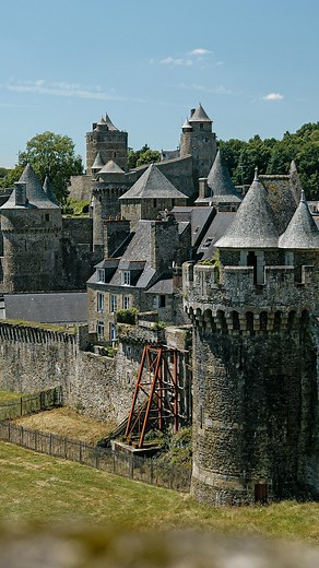 11K views · 3K reactions | Fougères  By @niko_91940 Niché sur...