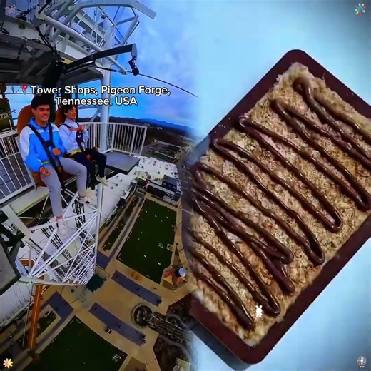 175 foot free fall swing! #shorts