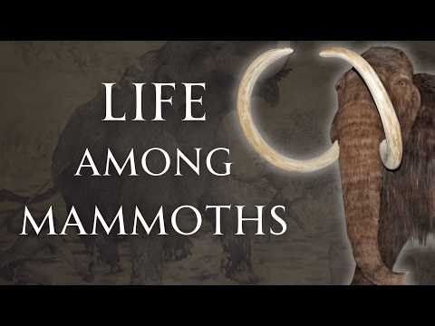 Everything We Know About Mammoths | Human Voiced, No Ads