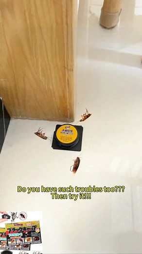 Say Goodbye to Cockroaches with our Effective Traps
